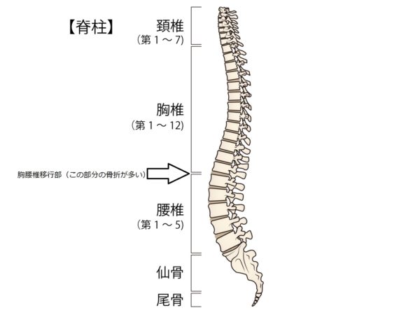 脊椎椎体圧迫骨折 東京脊椎クリニック 首 腰痛治療専門